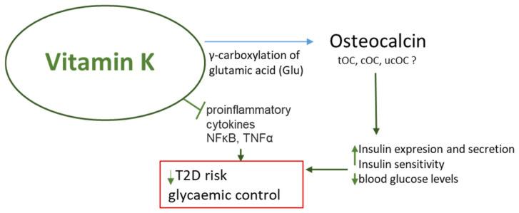 https://cdn.ncbi.nlm.nih.gov/pmc/blobs/8f34/11676630/3f377cb71649/nutrients-16-04341-g002.jpg