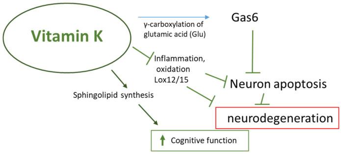 https://cdn.ncbi.nlm.nih.gov/pmc/blobs/8f34/11676630/a1758ac249d3/nutrients-16-04341-g004.jpg
