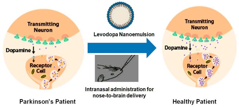 https://cdn.ncbi.nlm.nih.gov/pmc/blobs/8f34/7767046/a011a8db676d/pharmaceutics-12-01230-g004.jpg