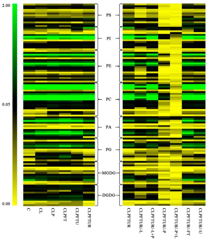 https://cdn.ncbi.nlm.nih.gov/pmc/blobs/8f34/7926411/fcc854cc9166/ijms-22-02174-g003.jpg