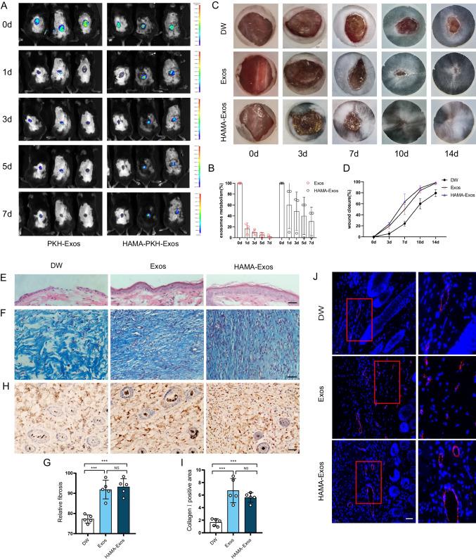 https://cdn.ncbi.nlm.nih.gov/pmc/blobs/8f37/11087353/365eff6b55ba/12015_2024_10685_Fig3_HTML.jpg