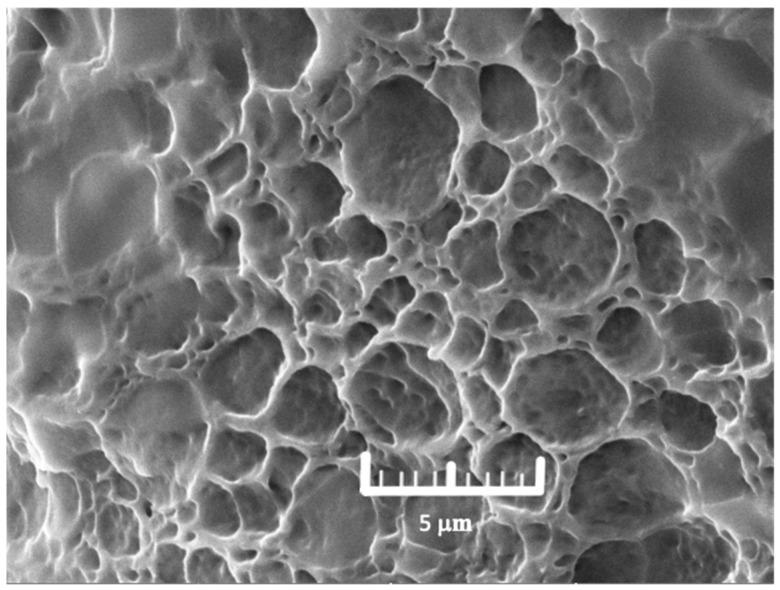 https://cdn.ncbi.nlm.nih.gov/pmc/blobs/8f37/11946848/39216d272c82/polymers-17-00770-g002.jpg