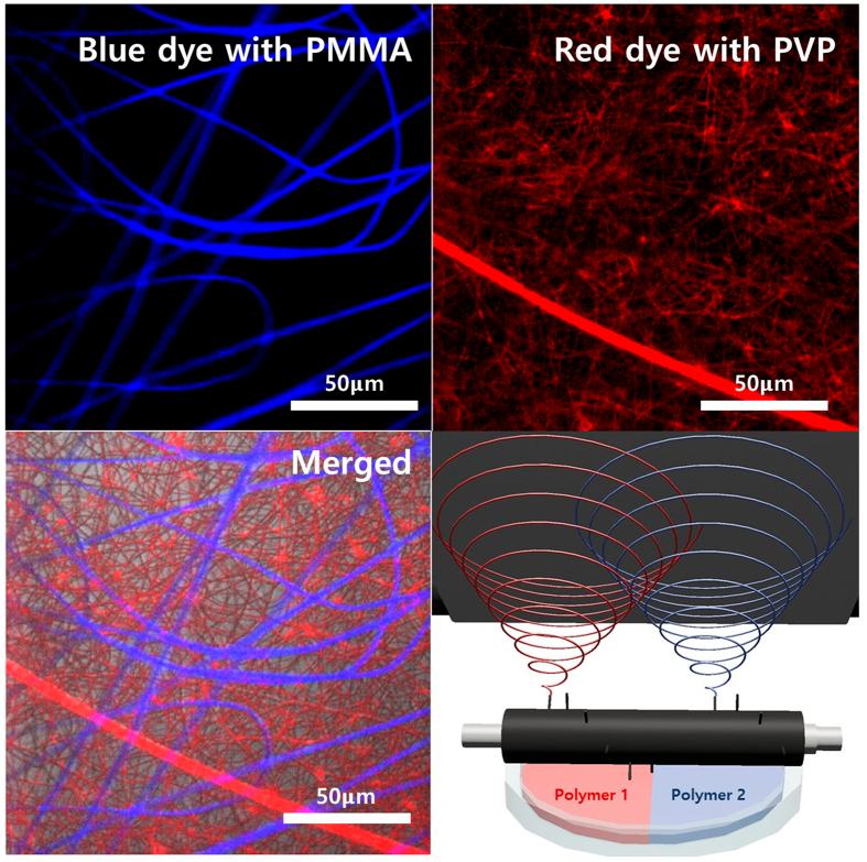 https://cdn.ncbi.nlm.nih.gov/pmc/blobs/8f38/5264178/d49ab0702cc1/srep41424-f8.jpg