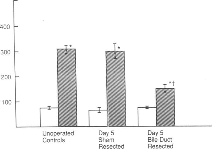 https://cdn.ncbi.nlm.nih.gov/pmc/blobs/8f3b/288184/e10361679e9e/jcinvest00040-0059-b.jpg