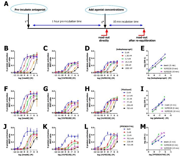 https://cdn.ncbi.nlm.nih.gov/pmc/blobs/8f3b/6695674/445cf239b545/ijms-20-03724-g003.jpg