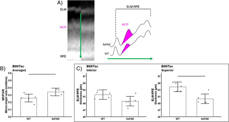 https://cdn.ncbi.nlm.nih.gov/pmc/blobs/8f3f/11140992/afdcff7009fe/40478_2024_1799_Fig6_HTML.jpg