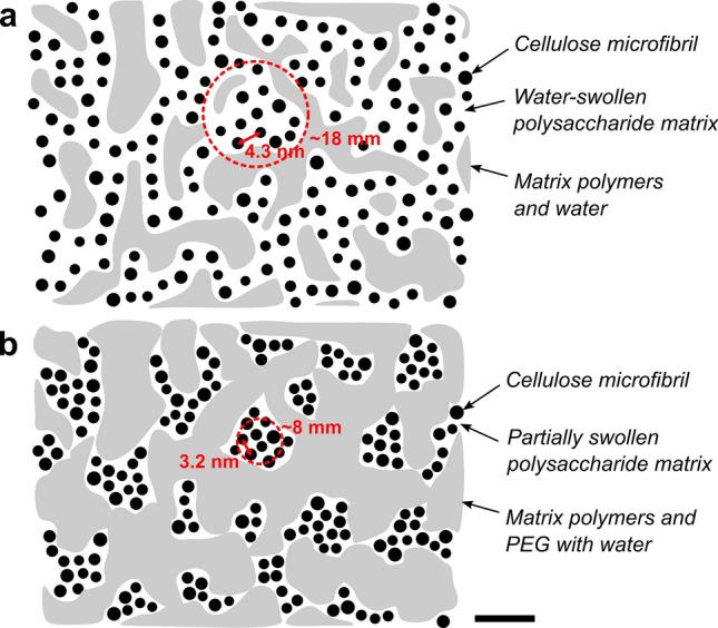 https://cdn.ncbi.nlm.nih.gov/pmc/blobs/8f40/7705696/1516dc77144f/41598_2020_77755_Fig4_HTML.jpg