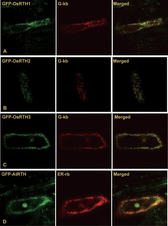 https://cdn.ncbi.nlm.nih.gov/pmc/blobs/8f42/3398448/792272dd53bb/jexboters098f03_3c.jpg