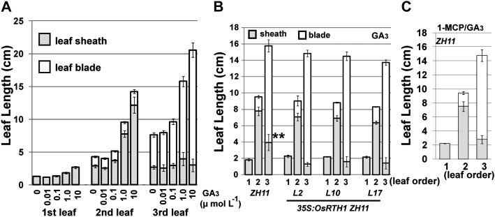 https://cdn.ncbi.nlm.nih.gov/pmc/blobs/8f42/3398448/aabb1862ce88/jexboters098f08_ht.jpg