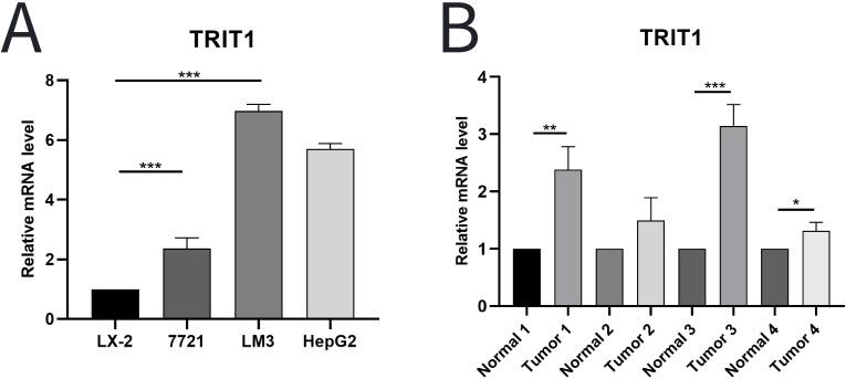 https://cdn.ncbi.nlm.nih.gov/pmc/blobs/8f45/12086158/3611c744076b/fimmu-16-1563442-g002.jpg