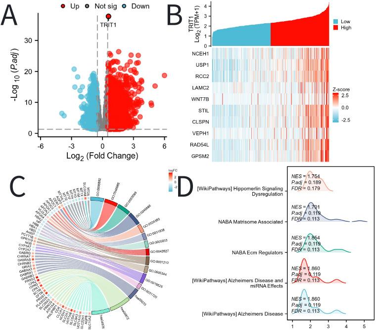 https://cdn.ncbi.nlm.nih.gov/pmc/blobs/8f45/12086158/cf6949b4c744/fimmu-16-1563442-g004.jpg