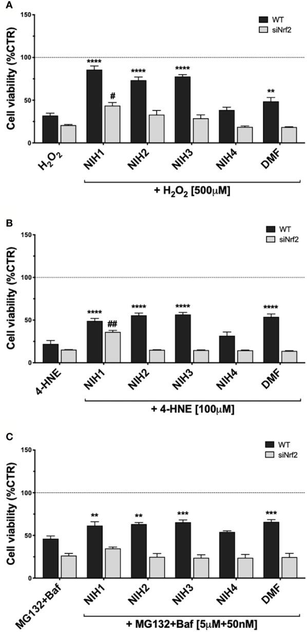 https://cdn.ncbi.nlm.nih.gov/pmc/blobs/8f47/7291861/5a55140e9191/fphar-11-00844-g006.jpg