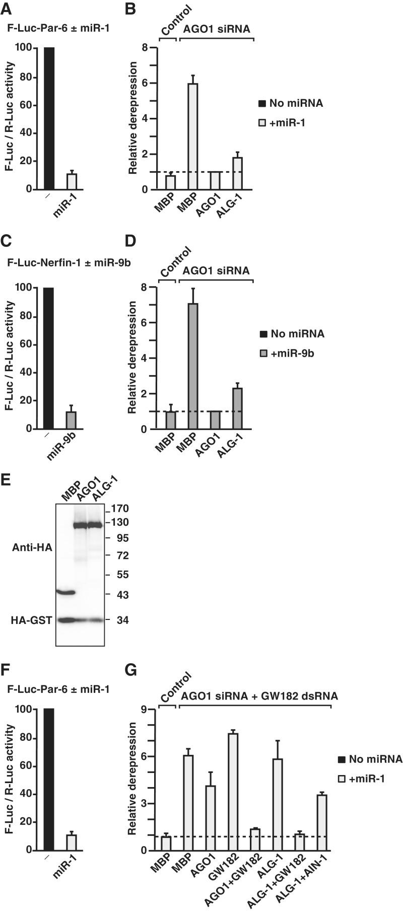 https://cdn.ncbi.nlm.nih.gov/pmc/blobs/8f48/3384334/a79e2a794dab/gks218f6.jpg