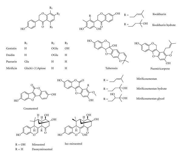 https://cdn.ncbi.nlm.nih.gov/pmc/blobs/8f4a/3551255/111f9cf527ef/ECAM2012-364604.004.jpg