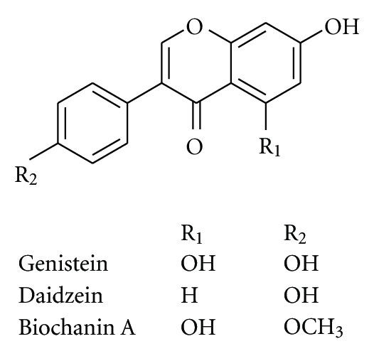 https://cdn.ncbi.nlm.nih.gov/pmc/blobs/8f4a/3551255/13ccf24a88e6/ECAM2012-364604.002.jpg