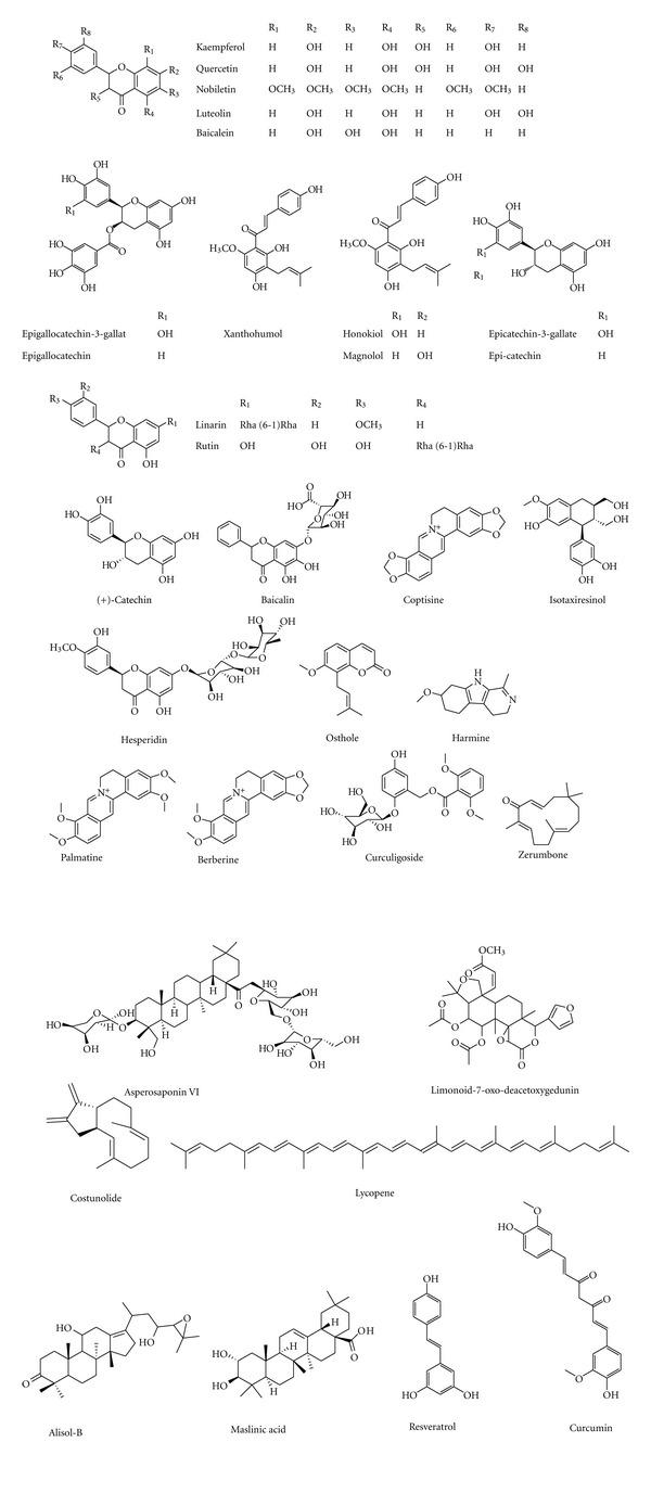 https://cdn.ncbi.nlm.nih.gov/pmc/blobs/8f4a/3551255/233cbe7658a5/ECAM2012-364604.011.jpg