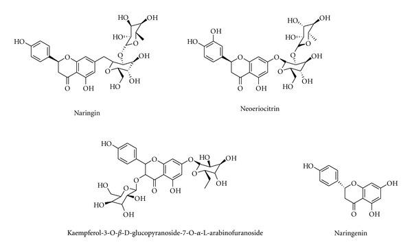 https://cdn.ncbi.nlm.nih.gov/pmc/blobs/8f4a/3551255/4df20ec0bc8d/ECAM2012-364604.008.jpg