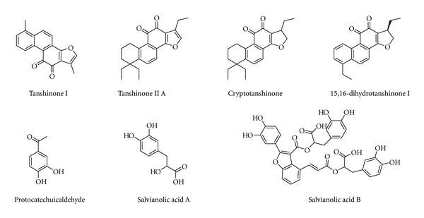 https://cdn.ncbi.nlm.nih.gov/pmc/blobs/8f4a/3551255/880c5814863a/ECAM2012-364604.006.jpg