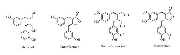 https://cdn.ncbi.nlm.nih.gov/pmc/blobs/8f4a/3551255/e59ffdfb95e9/ECAM2012-364604.007.jpg