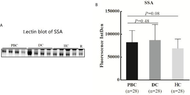 https://cdn.ncbi.nlm.nih.gov/pmc/blobs/8f4c/8267527/e2b70d1dfb19/fimmu-12-669137-g003.jpg