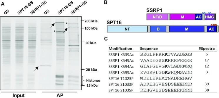 https://cdn.ncbi.nlm.nih.gov/pmc/blobs/8f4c/9122599/87713347d892/gkac293fig1.jpg
