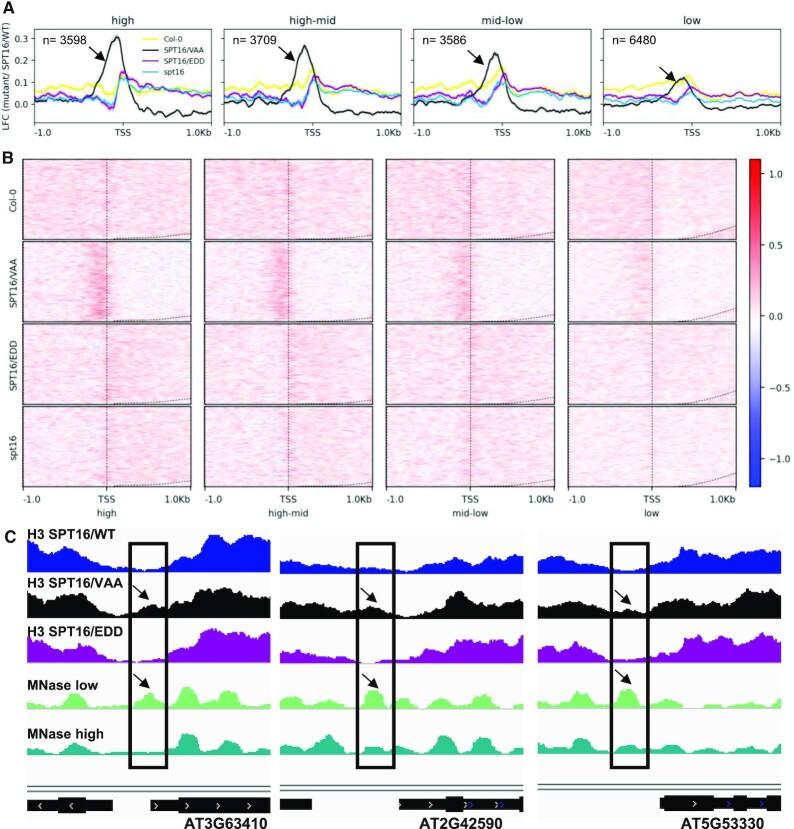 https://cdn.ncbi.nlm.nih.gov/pmc/blobs/8f4c/9122599/d42354cdd1ac/gkac293fig6.jpg