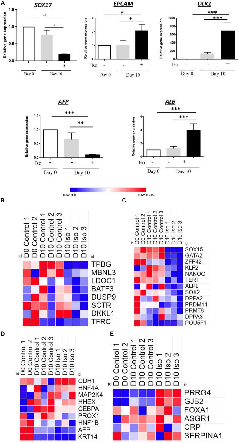 https://cdn.ncbi.nlm.nih.gov/pmc/blobs/8f50/7674172/4279af9ec3dc/fcell-08-578036-g004.jpg