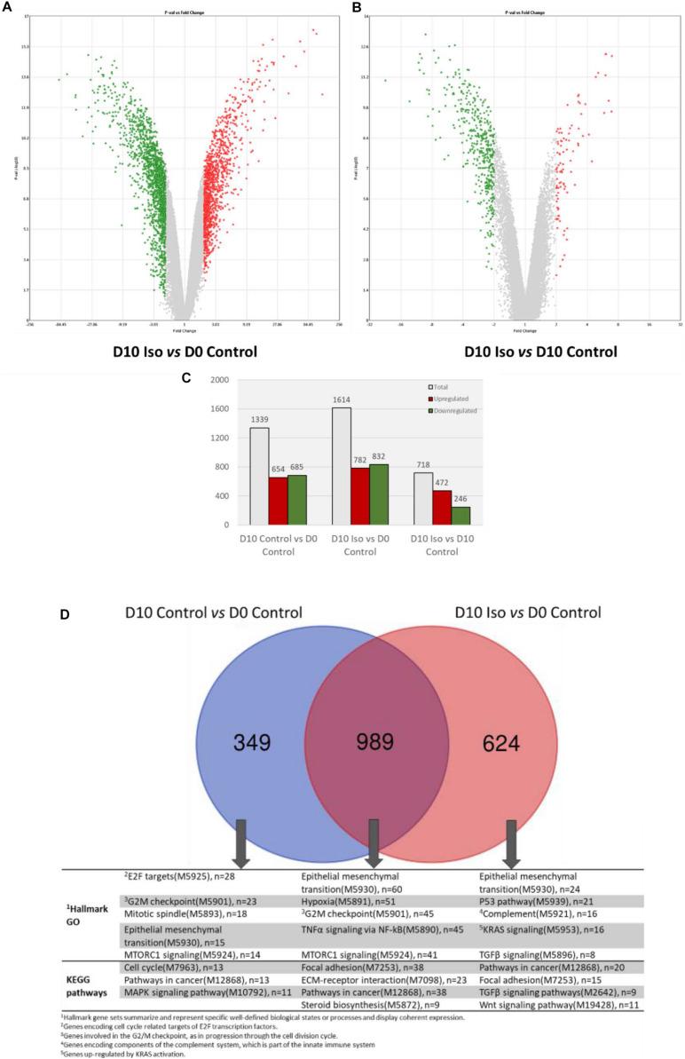 https://cdn.ncbi.nlm.nih.gov/pmc/blobs/8f50/7674172/629b3fad9e66/fcell-08-578036-g001.jpg