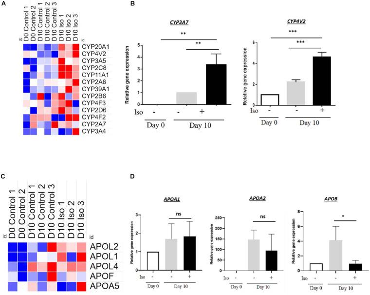 https://cdn.ncbi.nlm.nih.gov/pmc/blobs/8f50/7674172/8da3994e1b5f/fcell-08-578036-g006.jpg