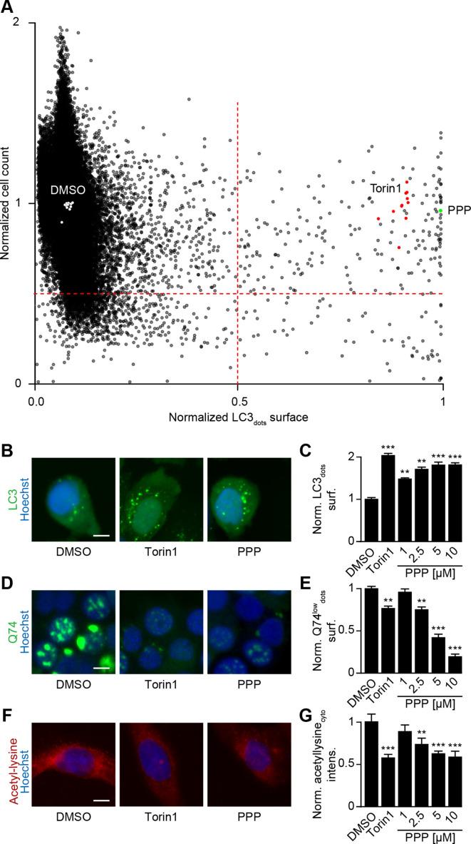 https://cdn.ncbi.nlm.nih.gov/pmc/blobs/8f52/8204183/1c86aa2d66c8/jitc-2021-002722f01.jpg
