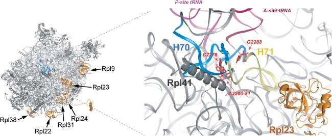 https://cdn.ncbi.nlm.nih.gov/pmc/blobs/8f53/4174444/d6d90747aaee/1632f07.jpg