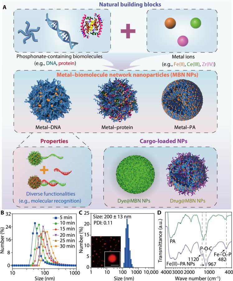 https://cdn.ncbi.nlm.nih.gov/pmc/blobs/8f55/11641004/738a4783e80e/sciadv.ads9542-f1.jpg