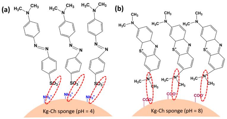 https://cdn.ncbi.nlm.nih.gov/pmc/blobs/8f57/7828559/82d701f4db7e/polymers-13-00251-g012.jpg