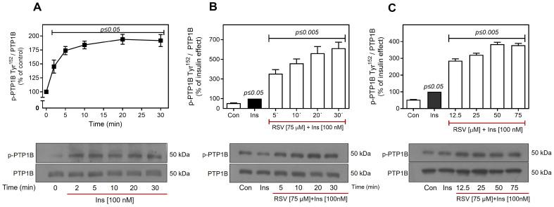 https://cdn.ncbi.nlm.nih.gov/pmc/blobs/8f59/12347301/12396884ed42/ijms-26-07434-g008.jpg