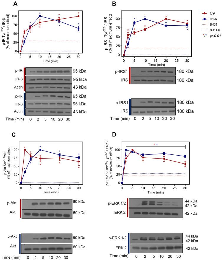 https://cdn.ncbi.nlm.nih.gov/pmc/blobs/8f59/12347301/89fb982406b2/ijms-26-07434-g001.jpg