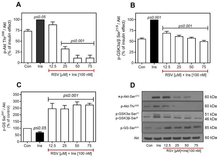 https://cdn.ncbi.nlm.nih.gov/pmc/blobs/8f59/12347301/8a5e7e473027/ijms-26-07434-g005.jpg