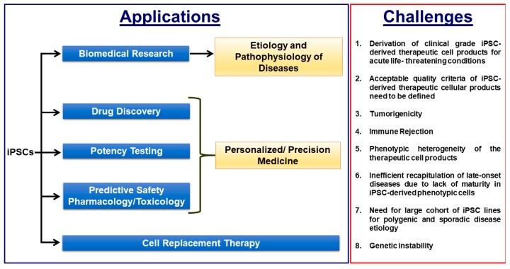 https://cdn.ncbi.nlm.nih.gov/pmc/blobs/8f59/6562607/28dca8697520/cells-08-00403-g002.jpg