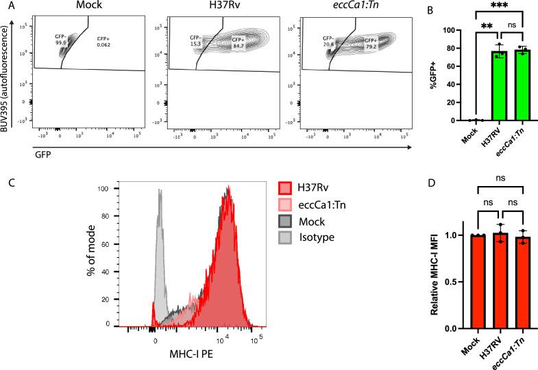 https://cdn.ncbi.nlm.nih.gov/pmc/blobs/8f5b/10159623/137ba460bd38/elife-84070-fig3-figsupp1.jpg