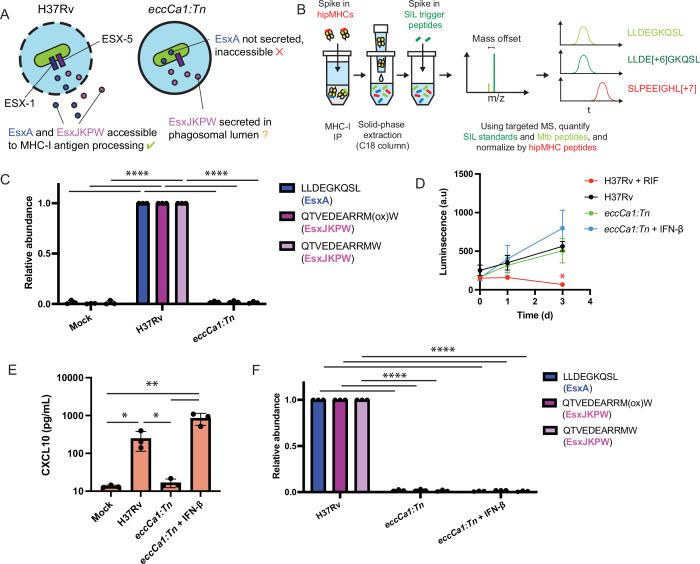 https://cdn.ncbi.nlm.nih.gov/pmc/blobs/8f5b/10159623/cfd62745ac60/elife-84070-fig3.jpg