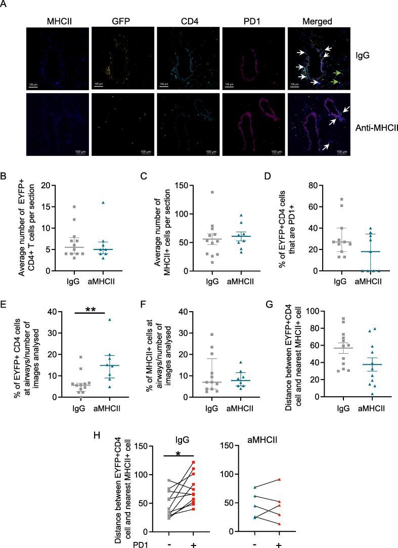 https://cdn.ncbi.nlm.nih.gov/pmc/blobs/8f5b/11464401/0d210b31bf91/gr6.jpg