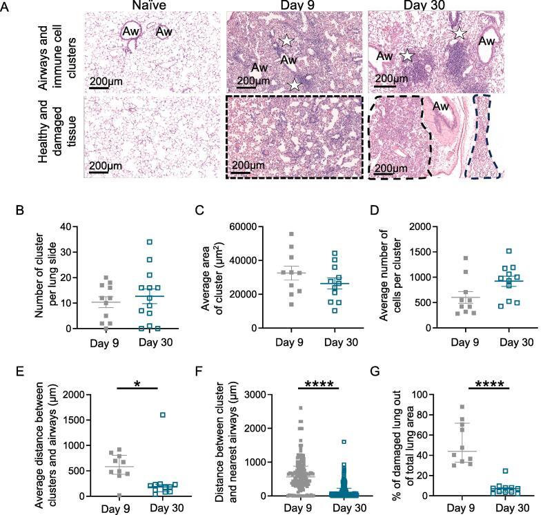 https://cdn.ncbi.nlm.nih.gov/pmc/blobs/8f5b/11464401/1682f5848306/gr1.jpg