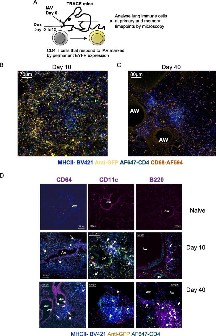 https://cdn.ncbi.nlm.nih.gov/pmc/blobs/8f5b/11464401/65ed83eb7bec/gr2.jpg
