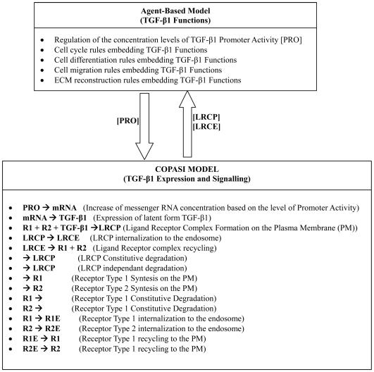 https://cdn.ncbi.nlm.nih.gov/pmc/blobs/8f5d/2799518/770f17d530e1/pone.0008511.g004.jpg