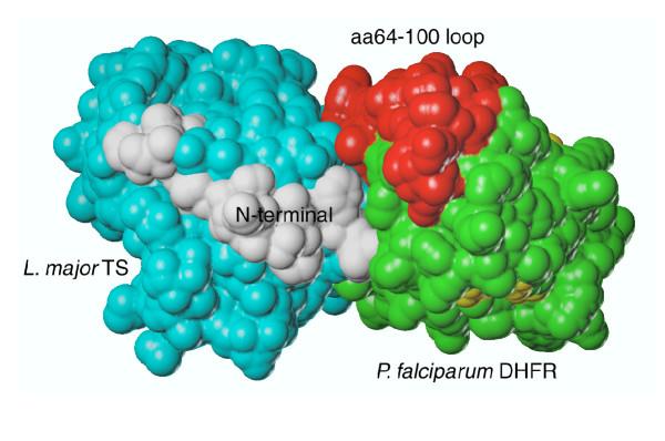 https://cdn.ncbi.nlm.nih.gov/pmc/blobs/8f5e/449723/7c1194135477/1475-2875-3-16-1.jpg