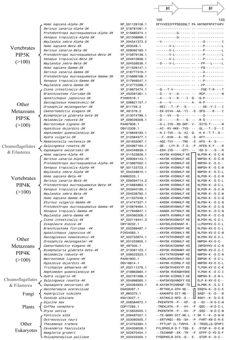 https://cdn.ncbi.nlm.nih.gov/pmc/blobs/8f5e/6523245/37c84caf8565/genes-10-00312-g003.jpg