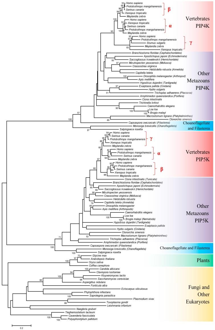 https://cdn.ncbi.nlm.nih.gov/pmc/blobs/8f5e/6523245/e1642d327bb2/genes-10-00312-g001.jpg