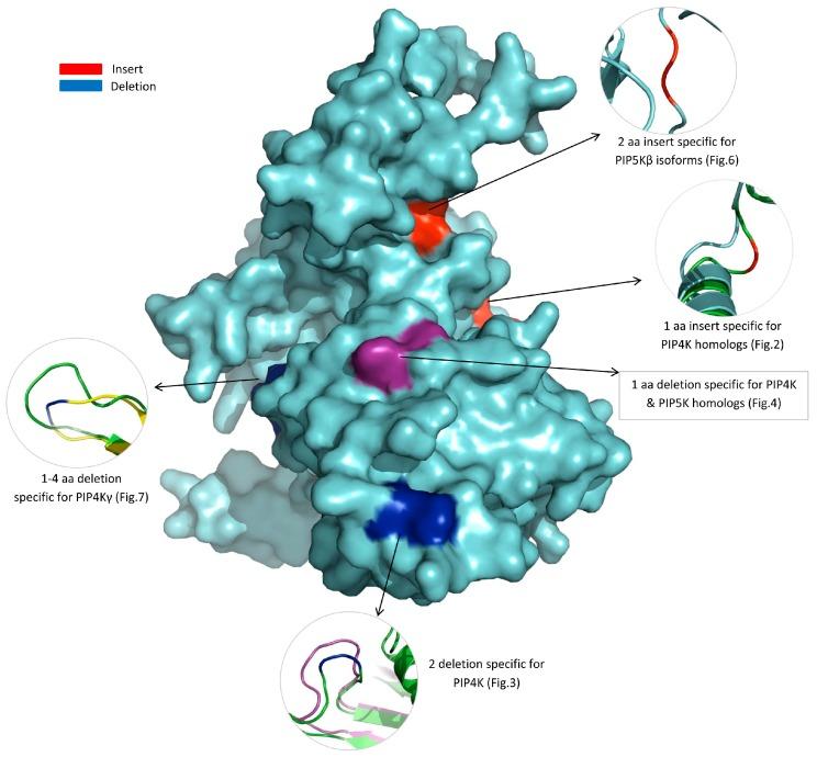 https://cdn.ncbi.nlm.nih.gov/pmc/blobs/8f5e/6523245/f04237f0e586/genes-10-00312-g008.jpg