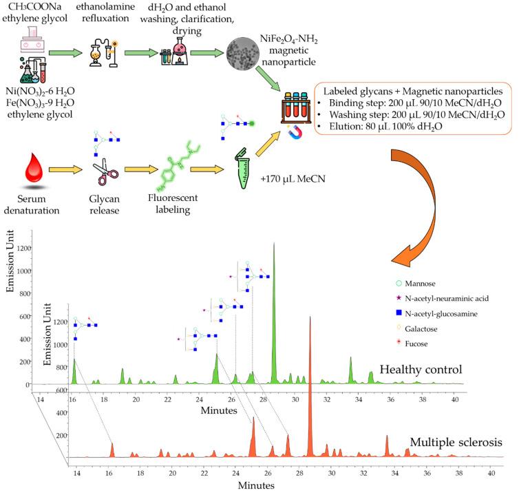 https://cdn.ncbi.nlm.nih.gov/pmc/blobs/8f5e/9409089/18a559b6d37b/ijms-23-09095-g001.jpg