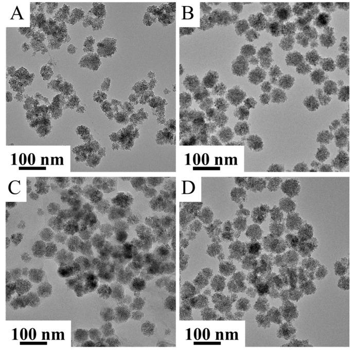 https://cdn.ncbi.nlm.nih.gov/pmc/blobs/8f5e/9409089/74373883af3a/ijms-23-09095-g003.jpg