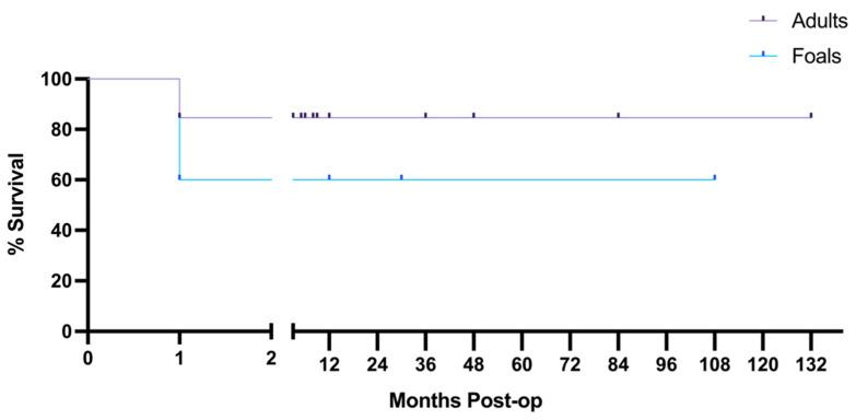 https://cdn.ncbi.nlm.nih.gov/pmc/blobs/8f5f/9179310/09113911d2aa/animals-12-01374-g004.jpg